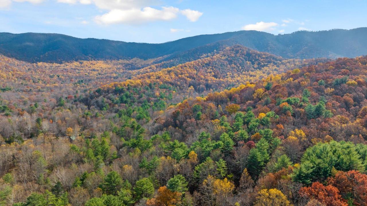Sleepy Hollow 5Br Cabin - National Park 7 Min, Hot Tub, Fire Pit, Sleeps 12 Luray Eksteriør billede