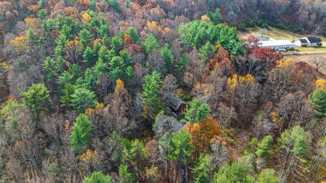 Sleepy Hollow 5Br Cabin - National Park 7 Min, Hot Tub, Fire Pit, Sleeps 12 Luray Eksteriør billede
